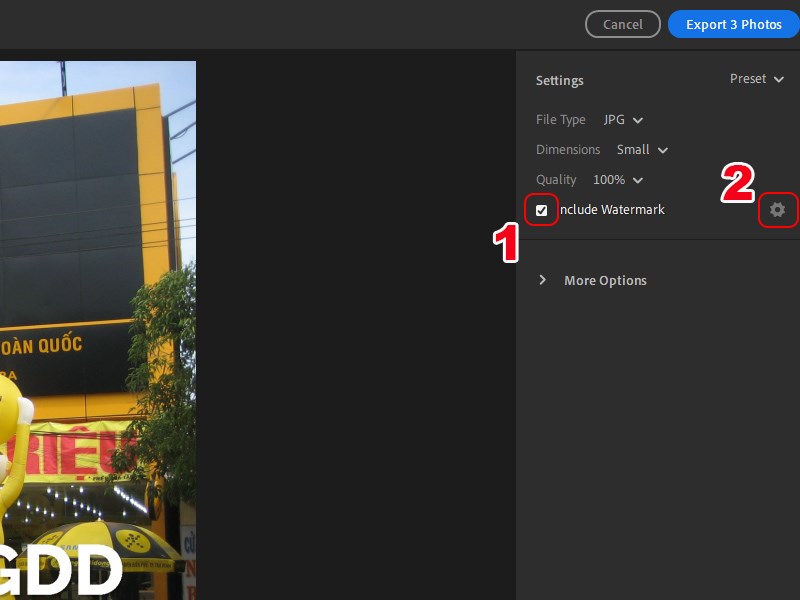 Chọn Include Watermark Chọn Include Watermark