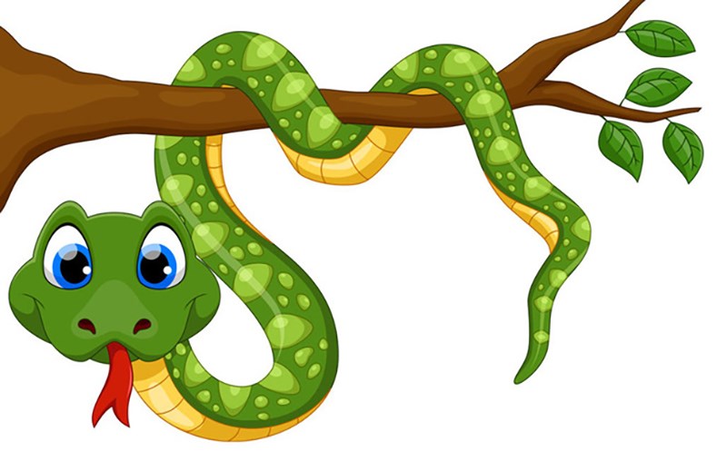 Tuổi Tỵ