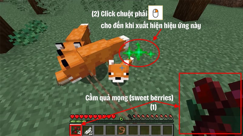 C&aacute;o th&iacute;ch ăn quả mọng 