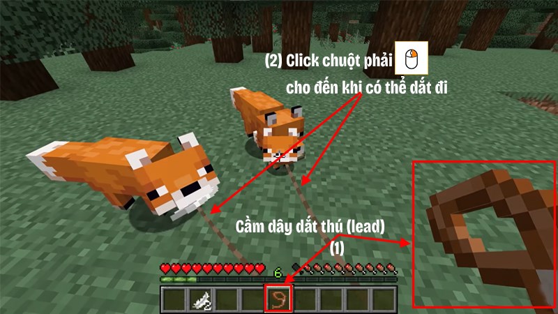 N&eacute;m d&acirc;y v&agrave;o c&aacute;o để c&oacute; thể dắt ch&uacute;ng đi theo 