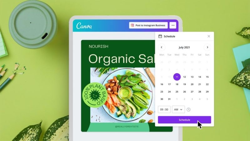 C&oacute; n&ecirc;n sử dụng Canva để thiết kế h&igrave;nh ảnh kh&ocirc;ng?