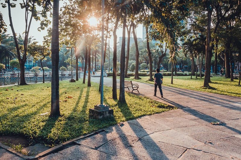 Công viên 23/9 trong ánh nắng vàng rực