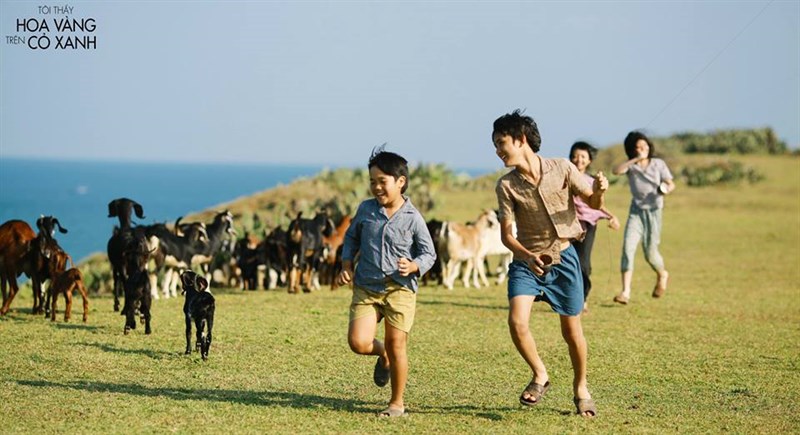 Cảnh thả diều bình dị