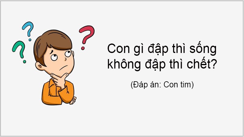 Con gì đập thì sống, không đập thì chết?