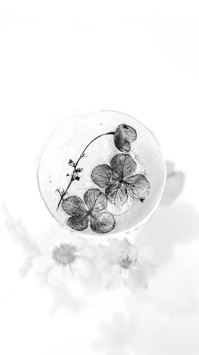 Ảnh nền màu trắng - 10 (Kích thước: 1080 x 1920)
