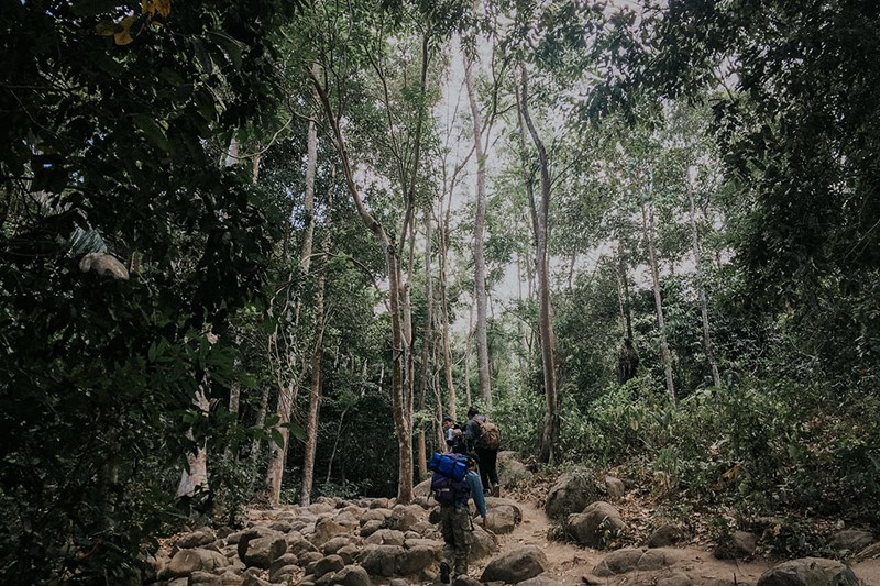 Con đường trekking yêu thích của nhiều bạn trẻ