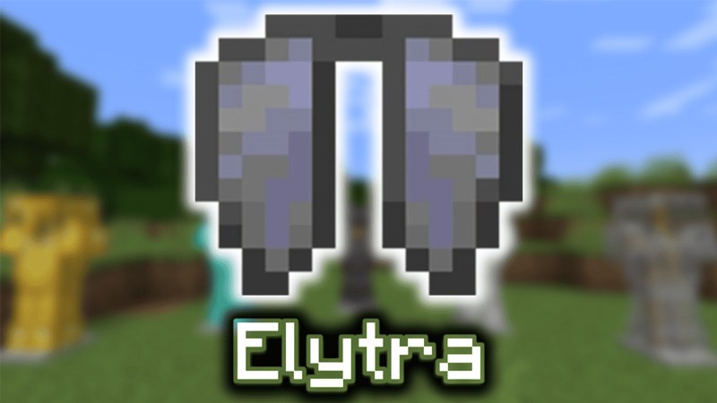 Elytra