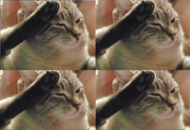 Meme mèo bắt chước điệu bộ chào của nhân vật trong game