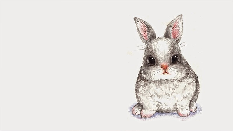 Hình vẽ con thỏ - 5 (Kích thước: 1920 x 1080)