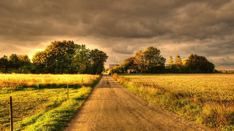 Hình nền thiên nhiên 4k cực đẹp | Hd nature wallpapers, Nature wallpaper,  Hd landscape