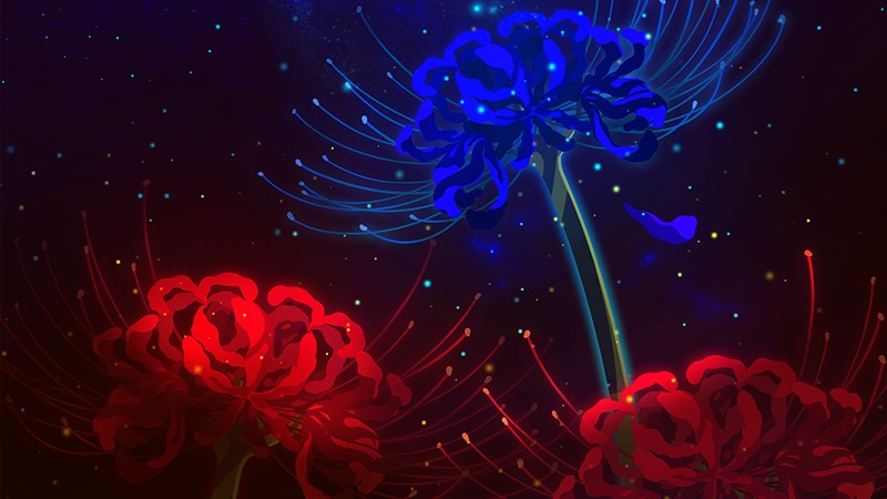 Bộ hình nền hoa bỉ ngạn 3D cực đẹp | Hình ảnh, Hình nền hoa, Loài hoa kỳ lạ