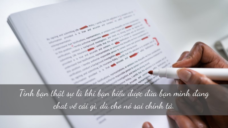 Tình bạn thật sự là khi bạn hiểu được đứa bạn mình đang chat về cái gì, dù cho nó sai chính tả.