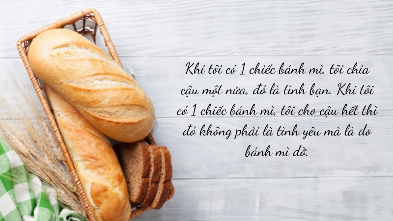 Khi tôi có 1 chiếc bánh mì, tôi chia cậu một nửa, đó là tình bạn. Khi tôi có 1 chiếc bánh mì, tôi cho cậu hết thì đó không phải là tình yêu mà là do bánh mì dở.