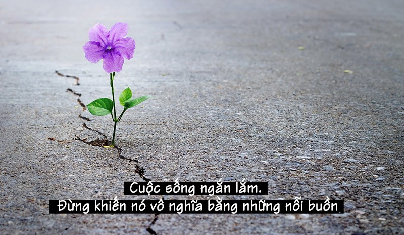 Cuộc sông ngắn lắm đừng khiến nó vô nghĩa