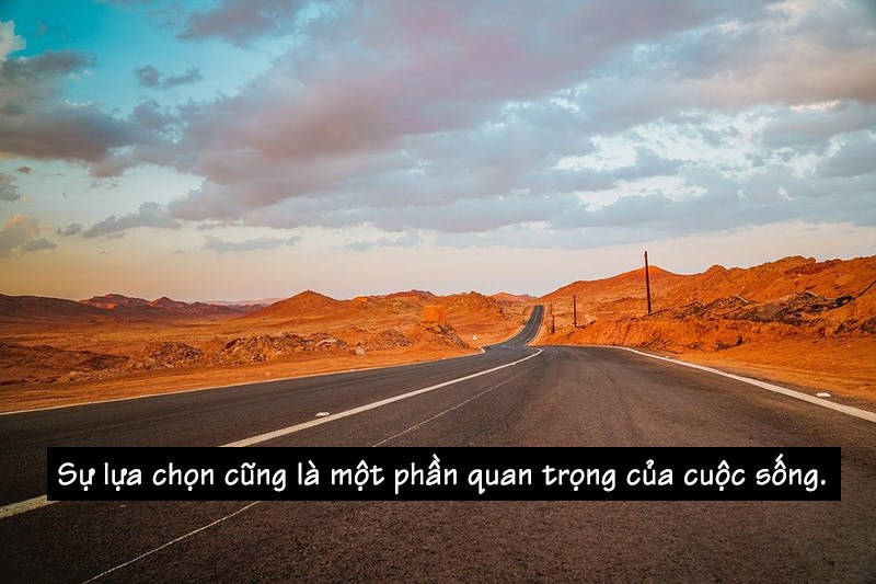 Sự lựa chọn