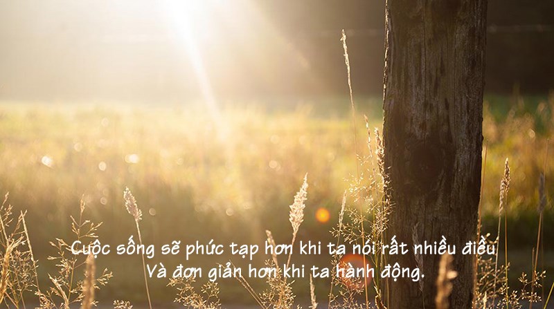 Cuộc sống đơn giản