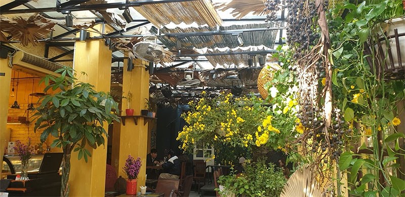 Không gian xanh của quán