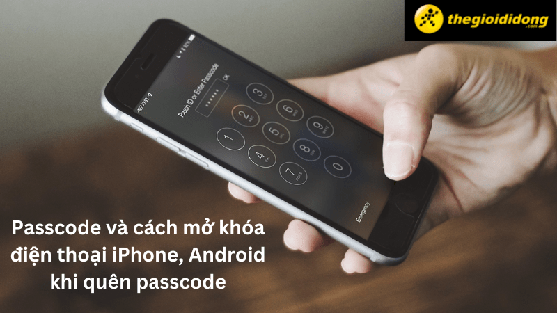 Passcode và cách mở khóa điện thoại iPhone, Android khi quên Passcode và cách mở khóa điện thoại iPhone, Android khi quên