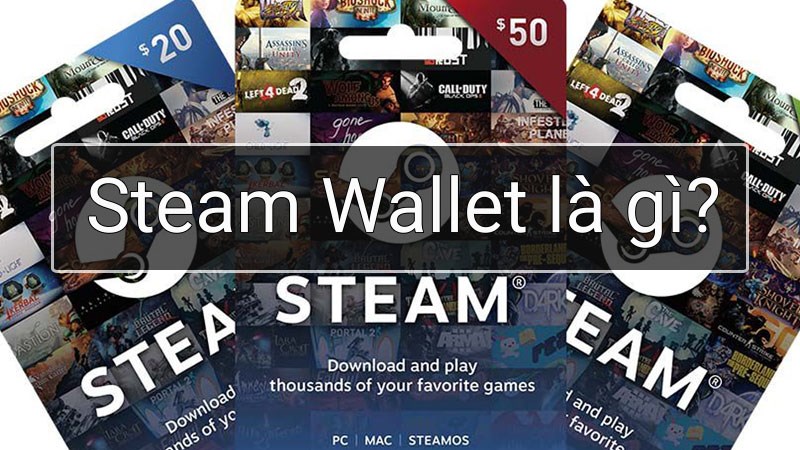 Steam Wallet Là Gì? Những Điều Cần Biết Về Steam Wallet