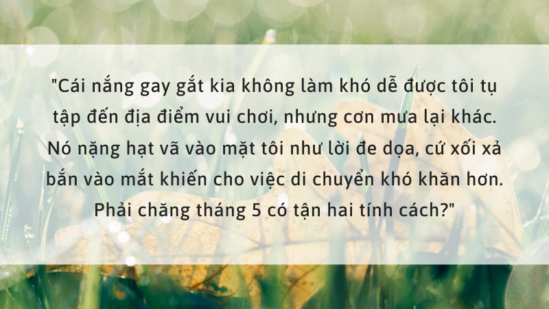 Câu nói hay về tháng 5 hay nhất 