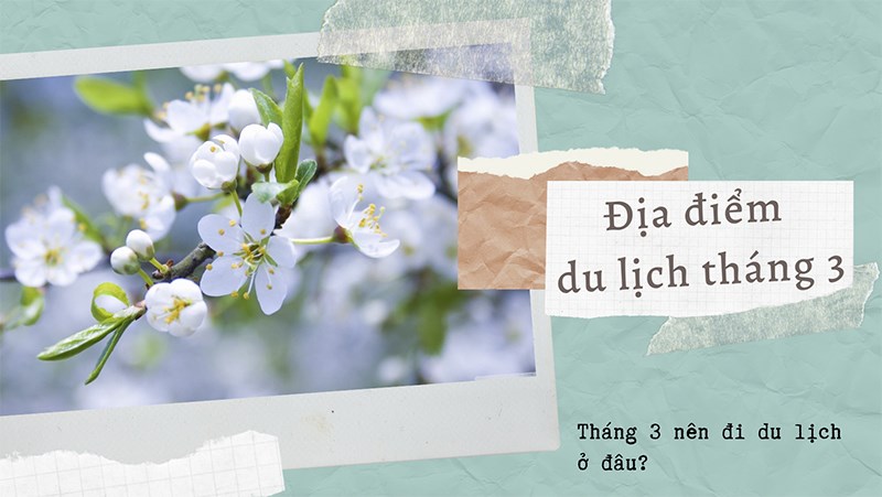 Tháng 3 nên đi đâu? Địa điểm du lịch trong tháng 3