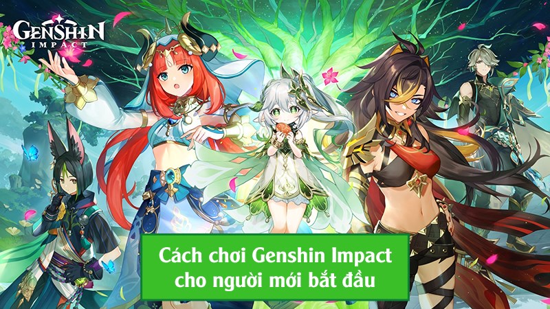 Hướng dẫn cách chơi Genshin Impact cho người mới bắt đầu