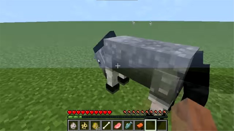 Tiếp cận một con ngựa hoang v&agrave; leo l&ecirc;n 