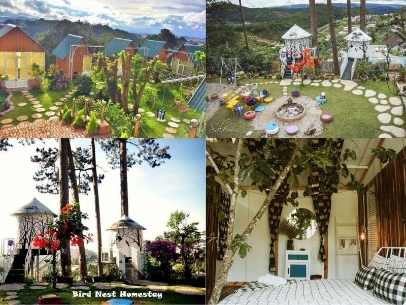 Tổ chim Homestay