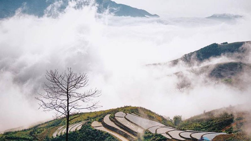 Top 13 địa điểm du lịch Yên Bái nổi tiếng, được yêu thích