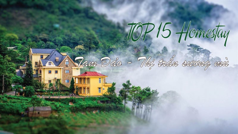 Top 15 homestay ở Tam Đảo