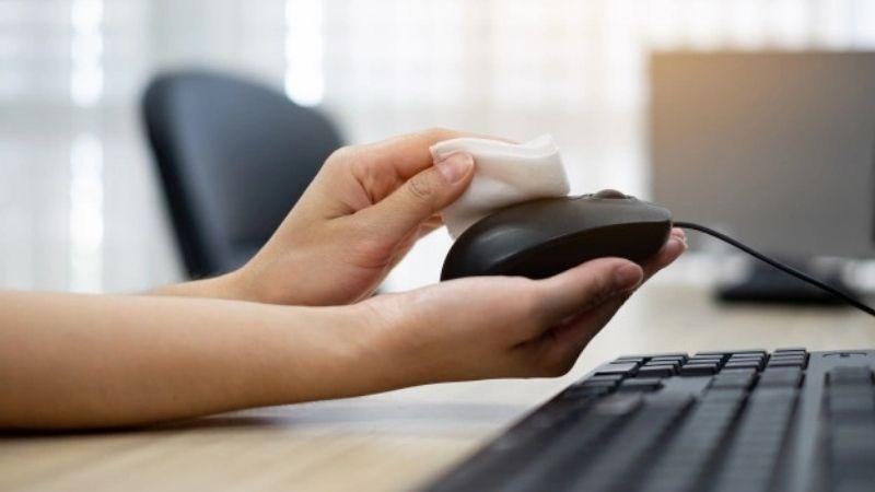 C&aacute;ch vệ sinh chuột c&oacute; d&acirc;y