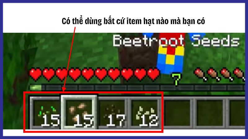 D&ugrave;ng bất cứ loại hạt n&agrave;o bạn c&oacute; 