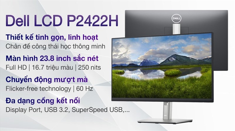 Dell LCD P2422H 23.8 inch Full HD