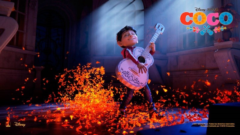 Cậu quyết định sẽ theo đuổi ước mơ của mình