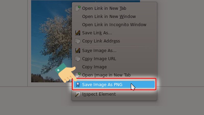 Nhấp chuột phải vào ảnh đó và chọn Save Image as PNG.