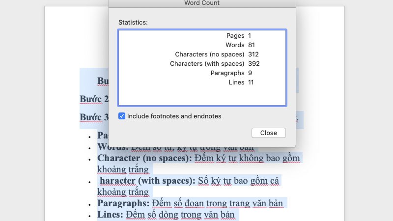 Xuất hiện hộp thoại Word Count 