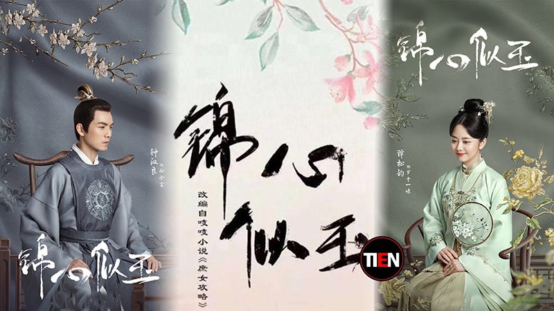 Cẩm Tâm Tựa Ngọc
