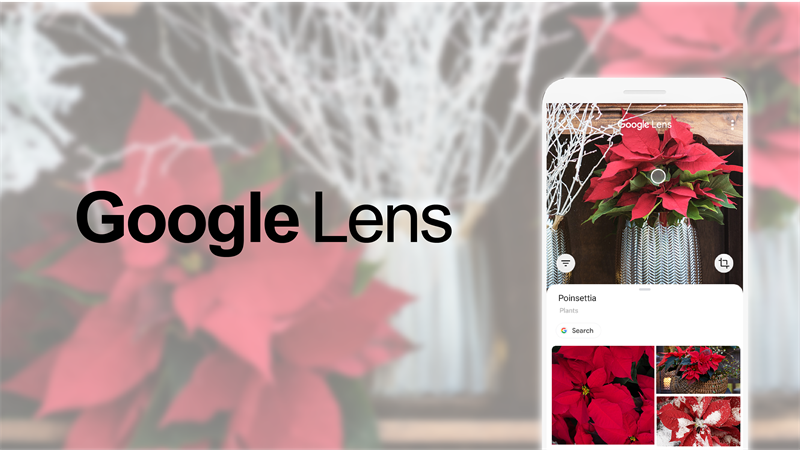 Dùng Google Lens xác định tên cây, đồ vật bất kỳ