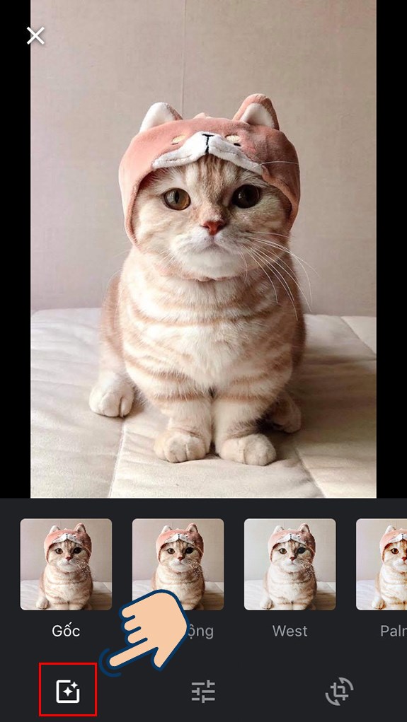 Chọn v&agrave;o biểu tượng Bộ lọc, sau đ&oacute; nhấn v&agrave;o gam m&agrave;u m&agrave; bạn th&iacute;ch để điều chỉnh m&agrave;u sắc cho bức ảnh