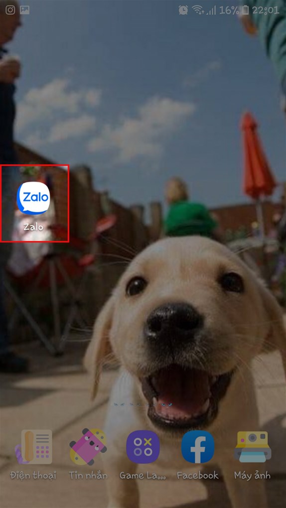 Mở ứng dụng Zalo tr&ecirc;n đi&ecirc;̣n thoại.&nbsp;