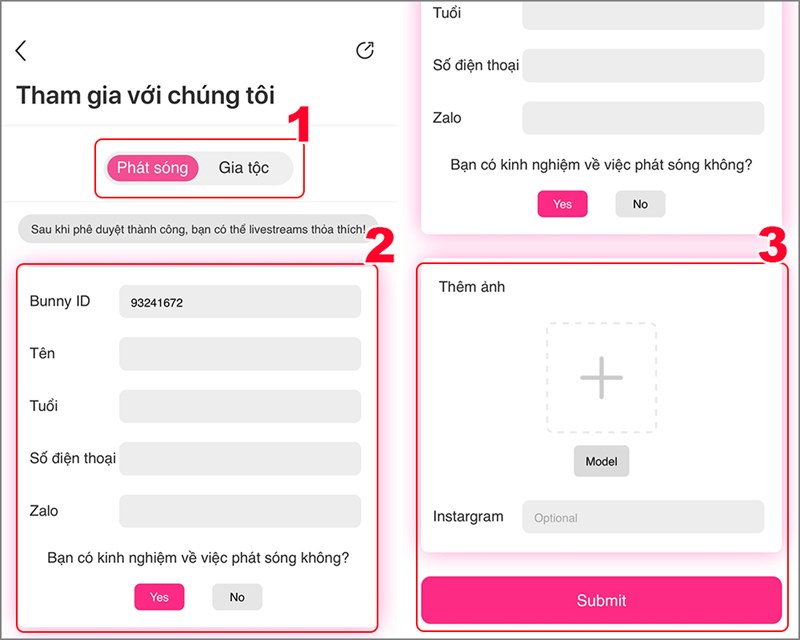 Nhập thông tin để đăng ký Idol trong Bunny live