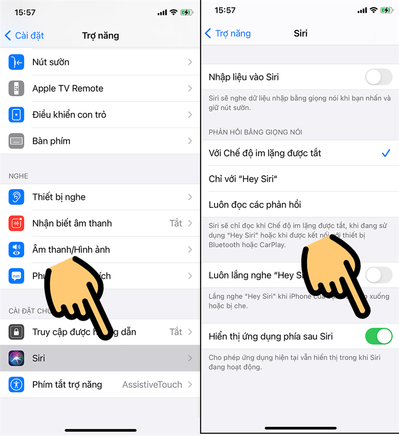  chọn Siri v&agrave; gạt n&uacute;t Hiển thị ứng dụng ph&iacute;a sau Siri