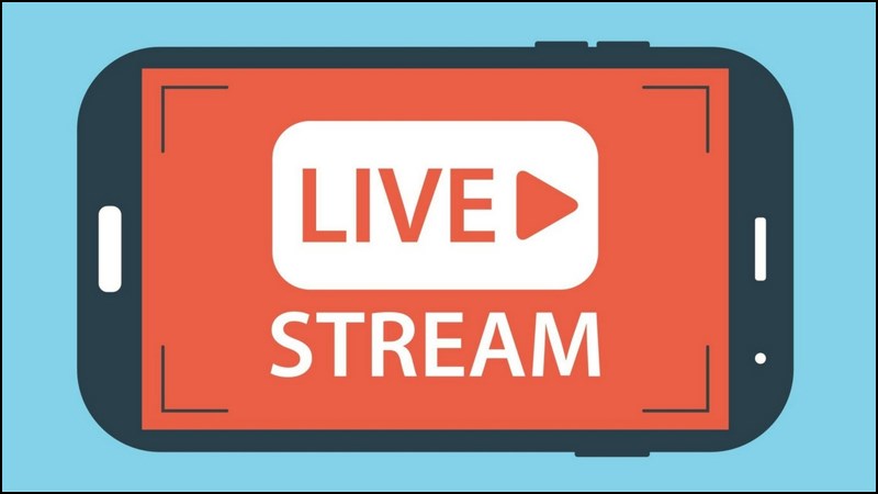 MẪU PHÔNG NỀN LIVESTREAM CHỤP HÌNH VÒM CỬA size ngang 15m cao 22m chọn  mẫu nào ib shop ak  Shopee Việt Nam