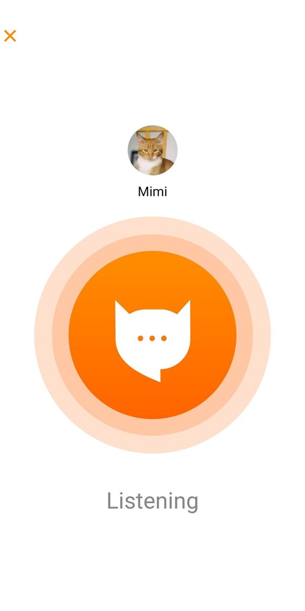 Nhấn vào biểu tượng Meow Talk để ứng dụng nghe và dịch tiếng mèo của bạn.