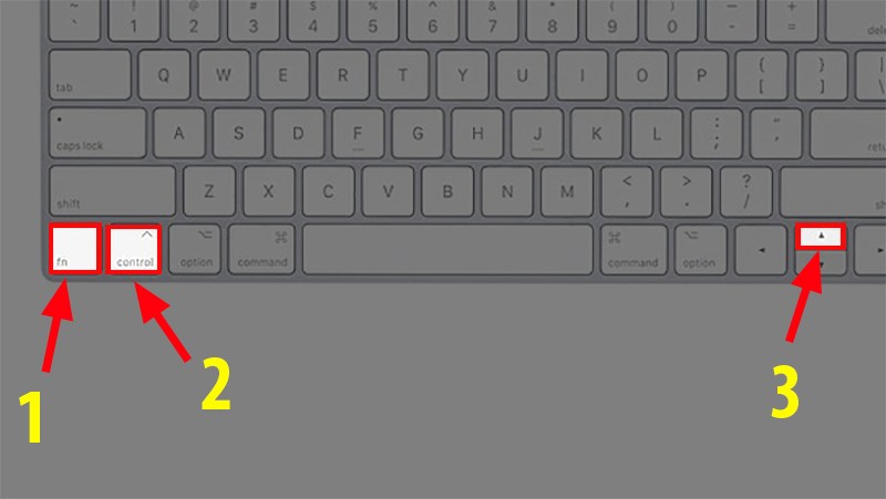 Nhấn tổ hợp phím Fn + Ctrl + dấu mũi tên lên (Để chuyển đến Sheet bên trái)