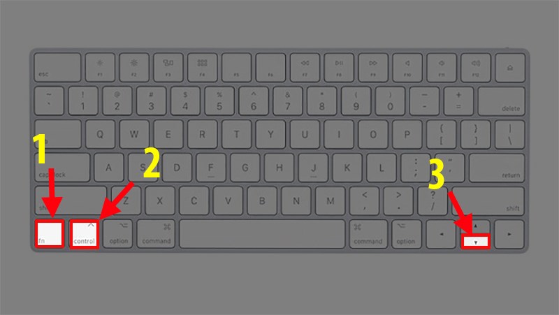 Nhấn tổ hợp phím Fn + Ctrl + dấu mũi tên xuống (Để chuyển đến Sheet bên phải)