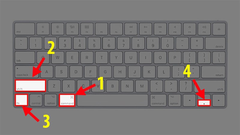 Nhấn tổ hợp phím Command + Shift + Fn + mũi tên xuống (Để chuyển sang Sheet bên phải).