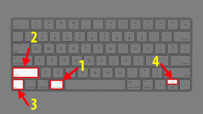Nhấn tổ hợp phím Command + Shift + Fn + mũi tên lên (Để chuyển sang Sheet bên trái).