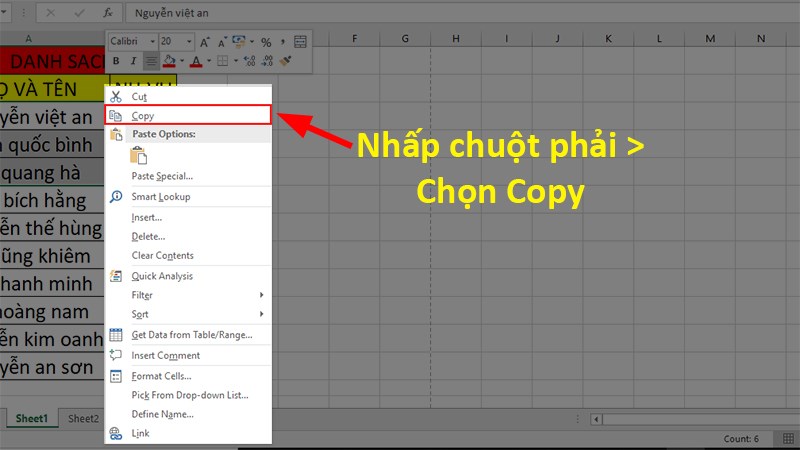 Nhấn Ctrl + C để sao chép các dòng hoặc bạn cũng có thể nhấp chuột phải vào các dòng đó và chọn Copy.