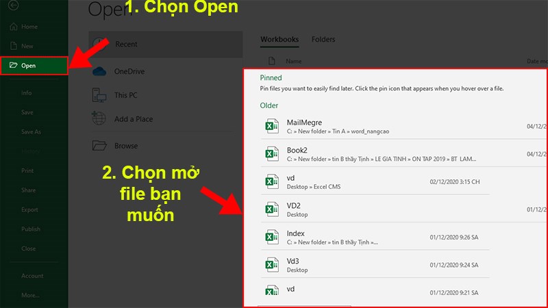 Chọn Open > Chọn&nbsp;file Excel&nbsp;bạn&nbsp;muốn mở